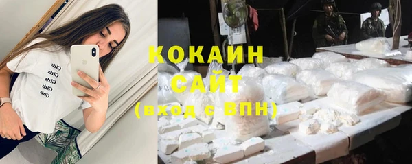 сатива Абаза