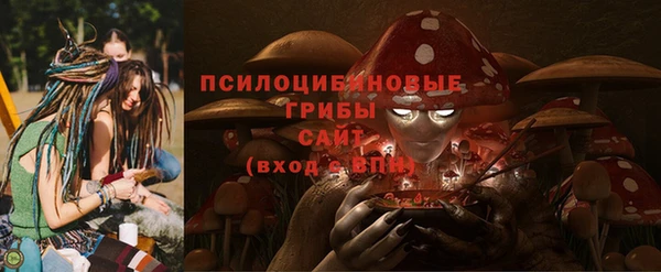 дмт Липки