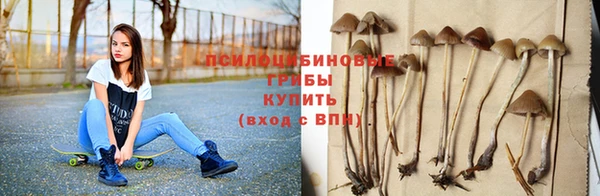 индика Абинск